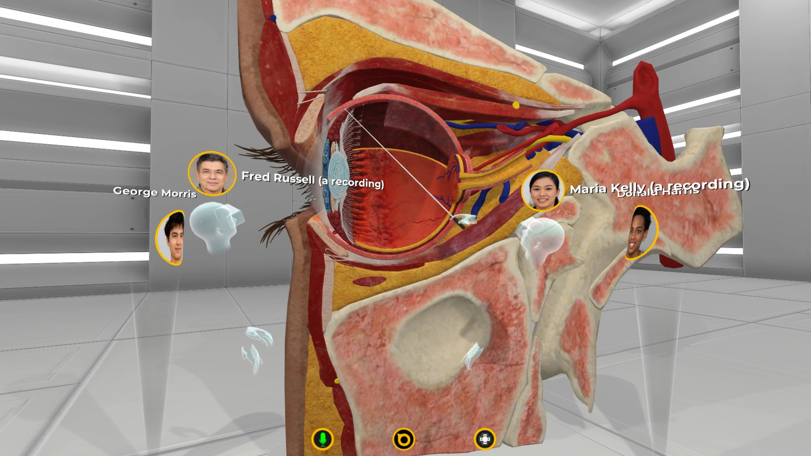 virtual eye anatomy human in VR