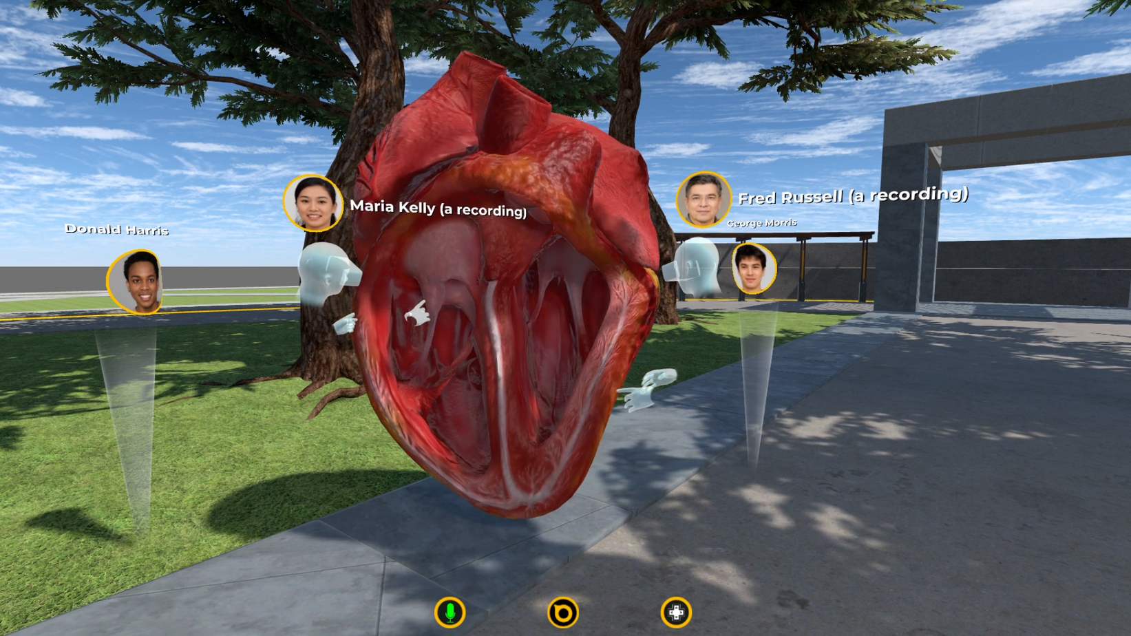 virtual human cardiac anatomy