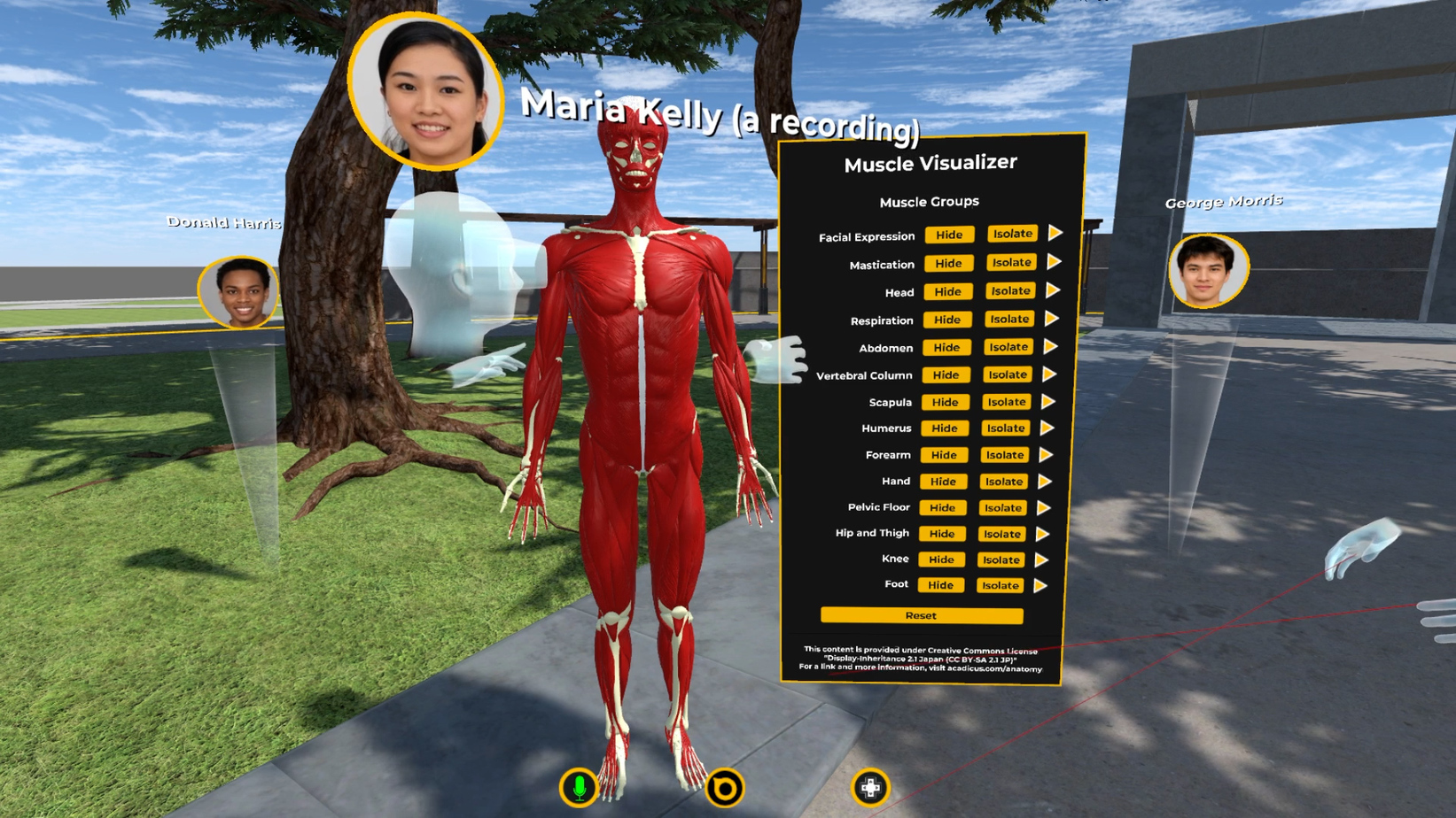 virtual muscle anatomy multiplayer VR