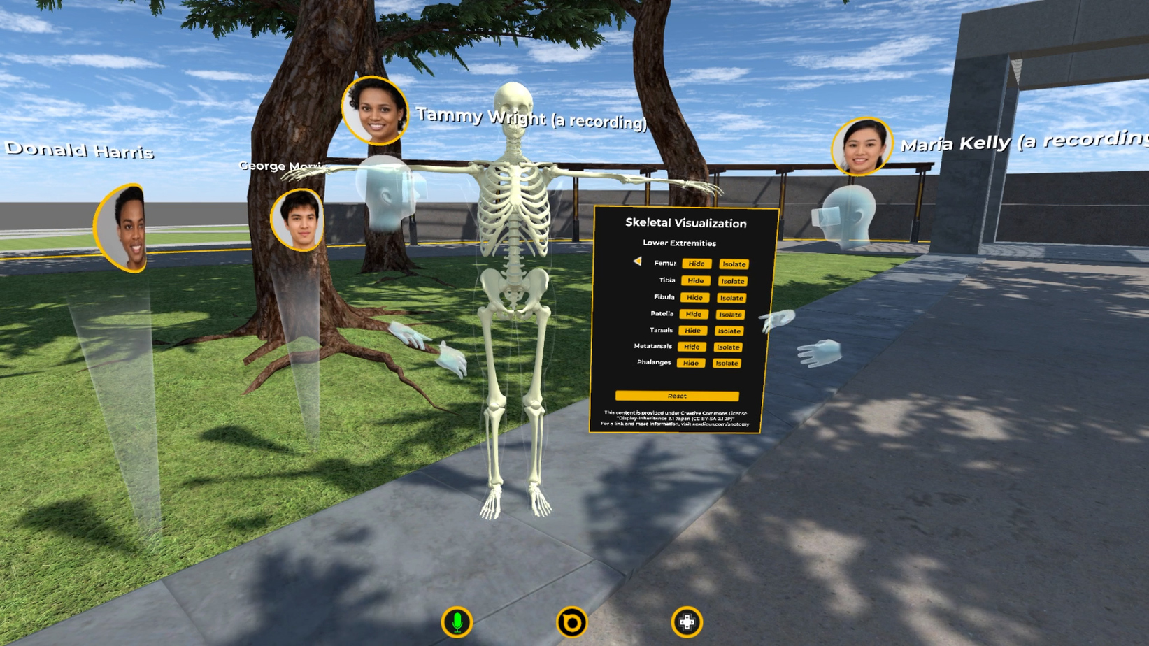 virtual skeletal anatomy in VR