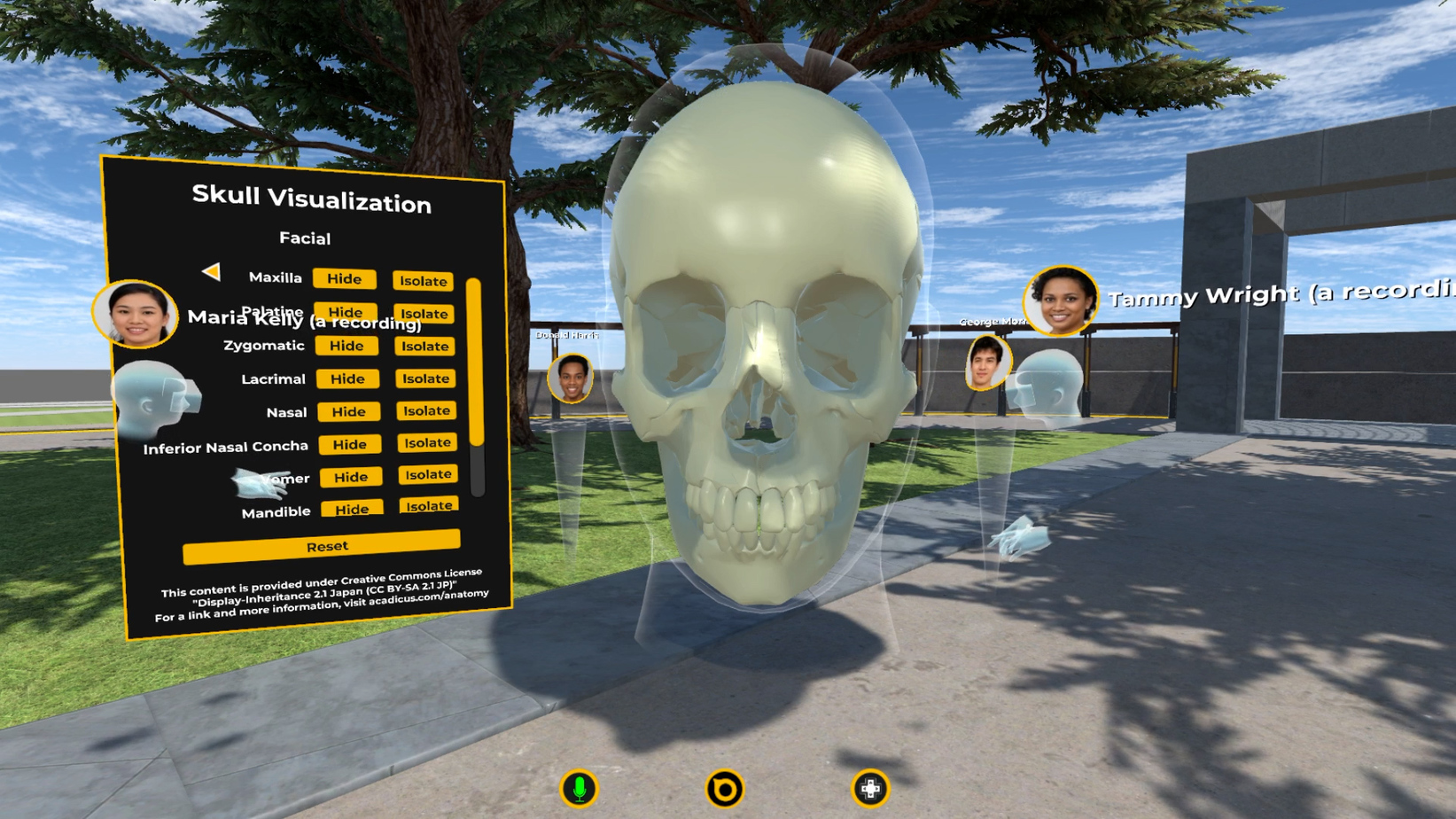 virtual skull anatomy in VR