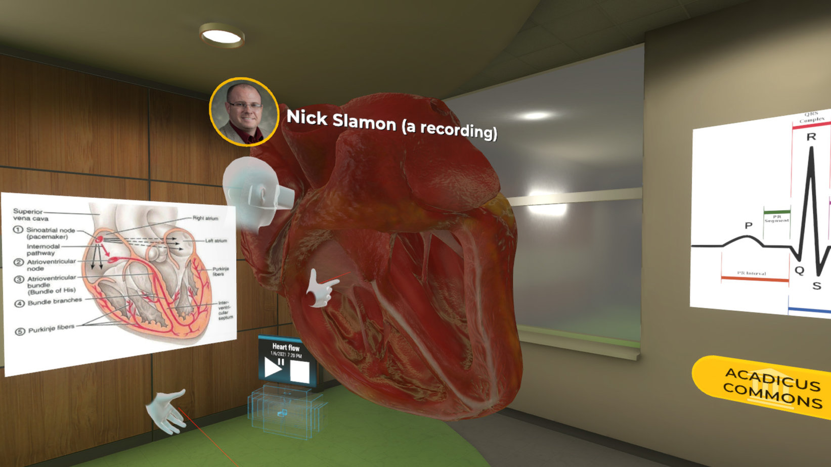 Heart Flow VR simulation